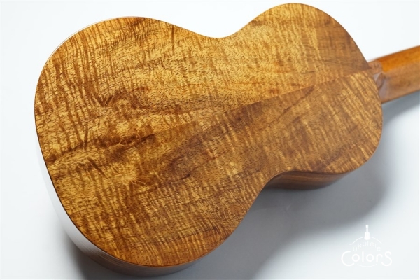 ECO-C+ - Koa